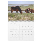 Wild Horses of Sable Island Calendar Kalender (Mär 2027)