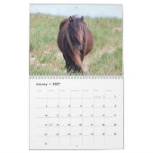 Wild Horses of Sable Island Calendar Kalender (Jan 2027)