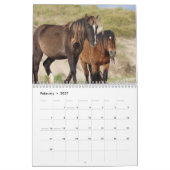 Wild Horses of Sable Island Calendar Kalender (Feb 2027)
