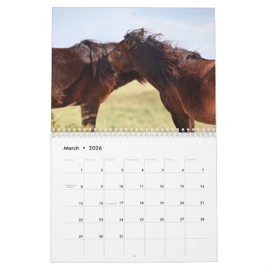 Wild Horses of Sable Island Kalender (Mär 2026)
