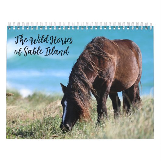 Wild Horses of Sable Island Kalender (Titelbild)