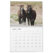 Wild Horses of Sable Island Kalender (Jan 2027)