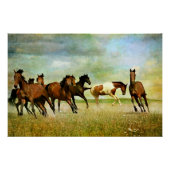 Wild Horses Poster (Vorderseite)