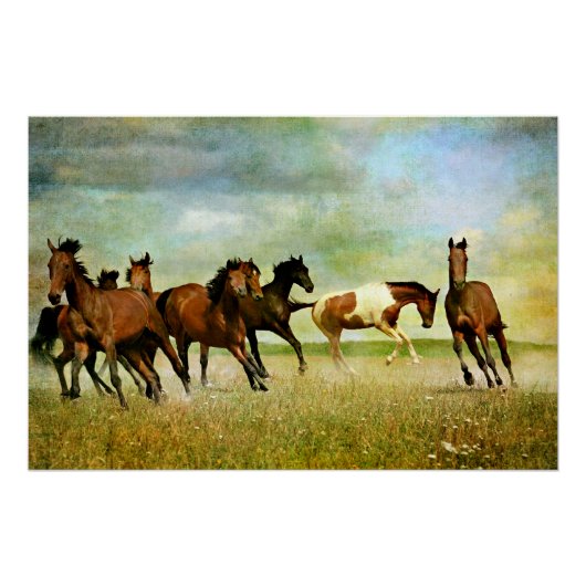 Wild Horses Poster (Vorderseite)