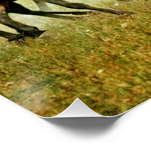 Wild Horses Poster (Ecke)