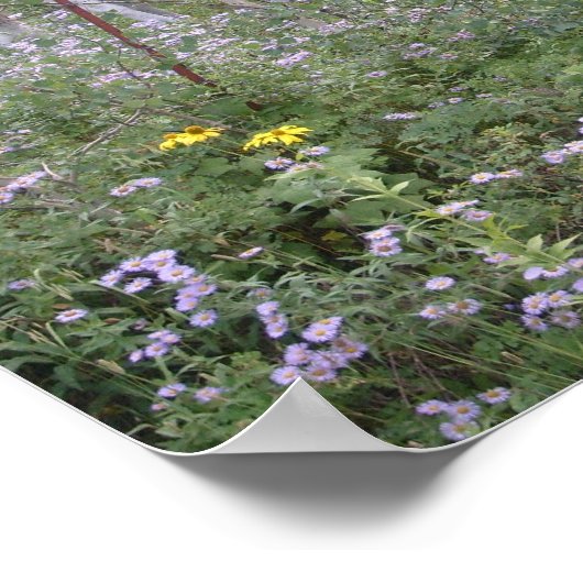 Wild Horses Poster (Ecke)