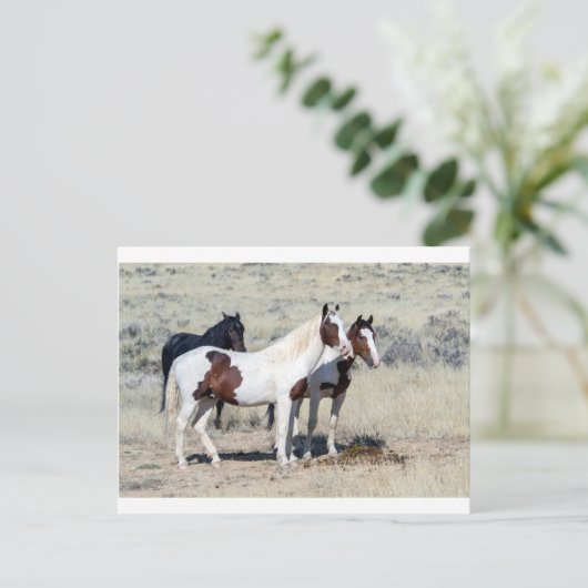 WILD HORSES POSTKARTE (Stehend Vorderseite)