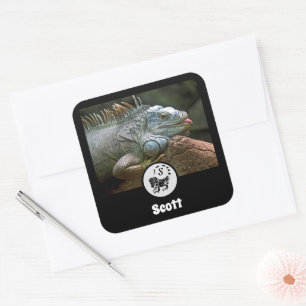 Wild Iguana Silhouette Name Tag Foto Quadratischer Aufkleber