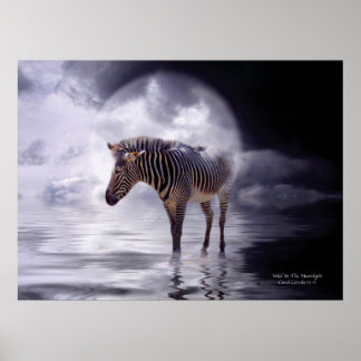 Wild im Mondlicht Art Poster/Print Poster