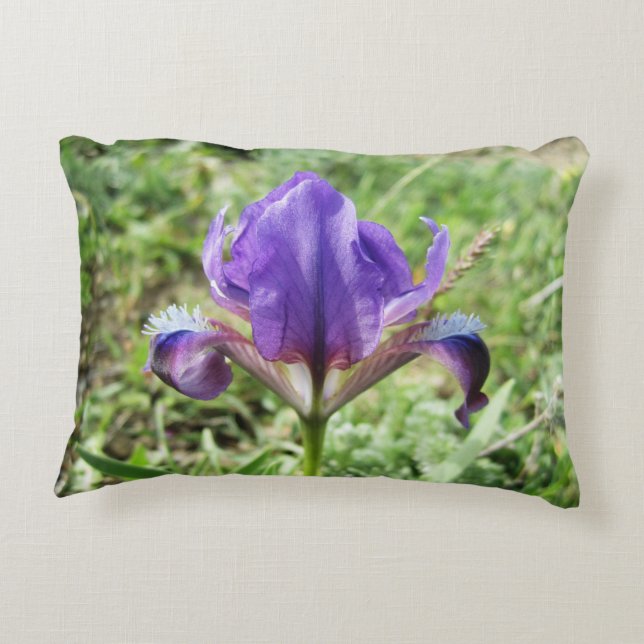 Wild Iris Accent Pillow Dekokissen (Rückseite)