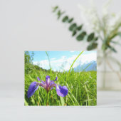 Wild Iris and Alaskan Landscape Postkarte (Stehend Vorderseite)