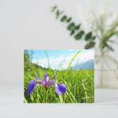 Wild Iris and Alaskan Landscape Postkarte (Stehend Vorderseite)
