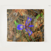 Wild Iris blüht.... Wandteppich (Vorderseite (Horizontal))