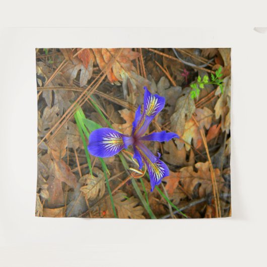 Wild Iris blüht.... Wandteppich (Vorderseite (Horizontal))