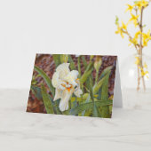 Wild Iris Blume Art Card Karte (Gelbe Blume)