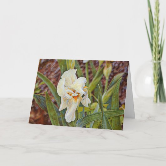 Wild Iris Blume Art Card Karte (Vorderseite)