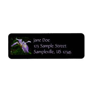 Wild Iris Blume Lila Floral