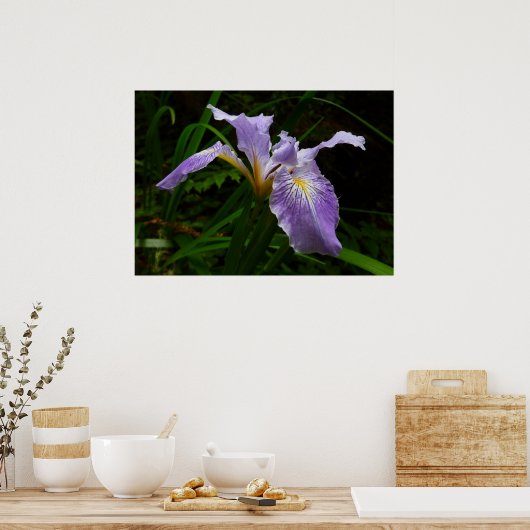 Wild Iris Blume Lila Floral Poster (Küche)