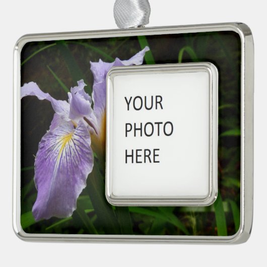 Wild Iris Blume Lila Floral Rahmen-Ornament Silber (Links)