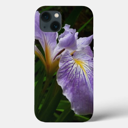 Wild Iris Flower Purple Floral Case-Mate iPhone Hülle (Rückseite)