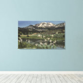 Wild Iris Growing nahe am Mammoth Leinwanddruck (Insitu (Holzboden))