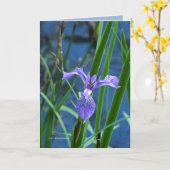 Wild Iris Karte (Gelbe Blume)