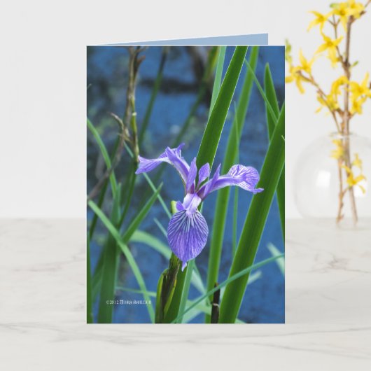 Wild Iris Karte (Gelbe Blume)