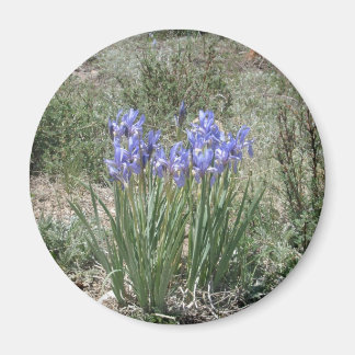 Wild Iris Magnet