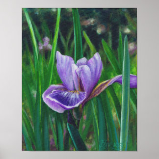 Wild Iris Poster