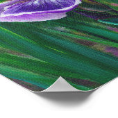 Wild Iris Poster (Ecke)
