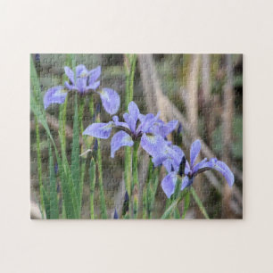 Wild Iris Puzzle