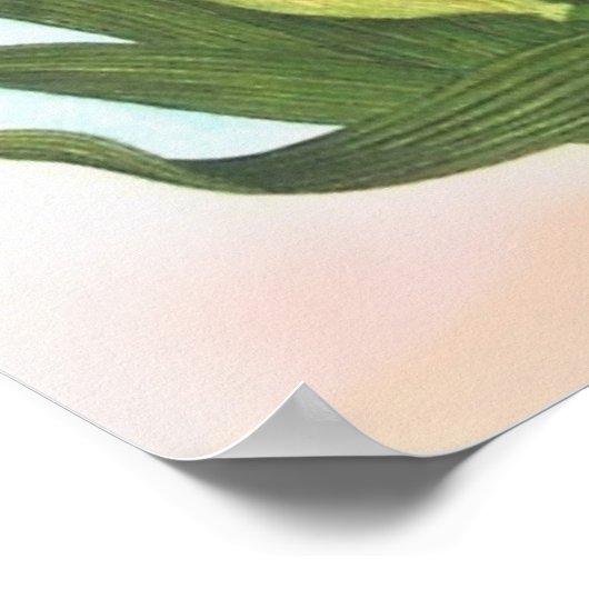 Wild Irises Poster (Ecke)