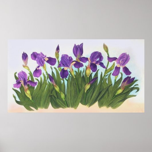 Wild Irises Poster (Vorne)