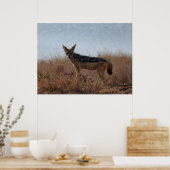 Wild Jackal Poster (Küche)