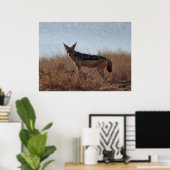 Wild Jackal Poster (Heimbüro)