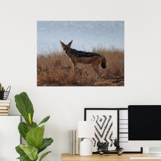 Wild Jackal Poster (Heimbüro)