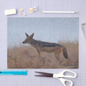 Wild Jackal Seidenpapier (Handwerk)