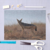 Wild Jackal Seidenpapier (Handwerk)