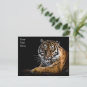 Wild Jungle Animal Tiger (Stehend Vorderseite)