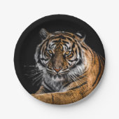 Wild Jungle Animal Tiger Pappteller (Vorderseite)