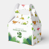 Wild Jungle Dinosaur Adventure Kindergeburtstag Geschenkschachtel (Rückseite)
