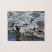 Wild (Kanada) Gänsejase: Die Spat bei Piper Spit Puzzle (Horizontal)