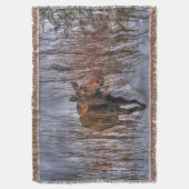 Wild kanadische Elche im Winterschnee I Decke (Vorderseite Vertikal)