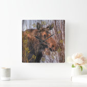 Wild kanadische Elche im Winterschnee I Quadratische Wanduhr (Zuhause)