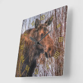 Wild kanadische Elche im Winterschnee I Quadratische Wanduhr (Winkel)