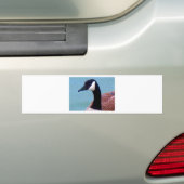 Wild kanadische Gans Autoaufkleber (Auf Auto)
