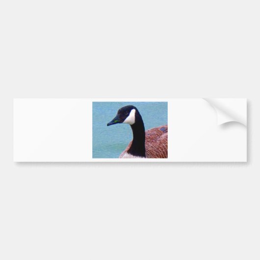 Wild kanadische Gans Autoaufkleber (Vorne)
