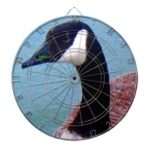 Wild kanadische Gans Dartscheibe (vorne)