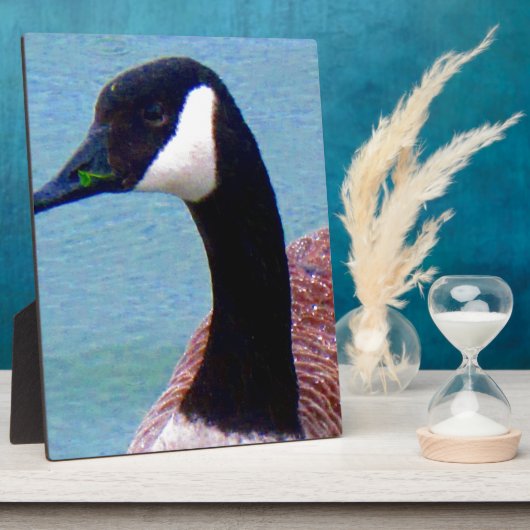 Wild kanadische Gans Fotoplatte (Seite)