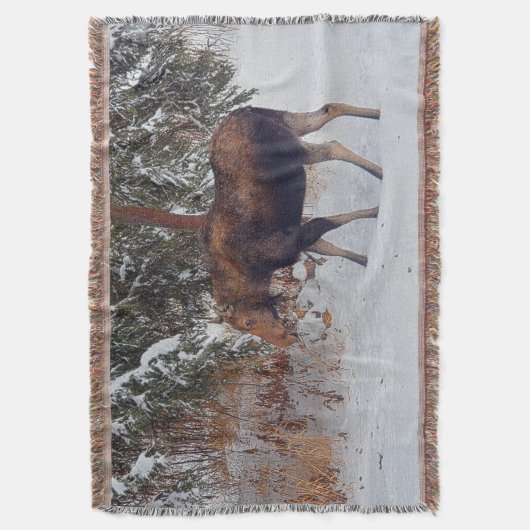 Wild kanadischer Elch im Winterschnee IV Decke (Vorderseite Vertikal)